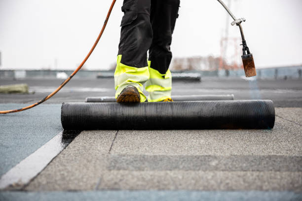 Best Rubber Roofing (EPDM, TPO)  in Glen Ellyn, IL