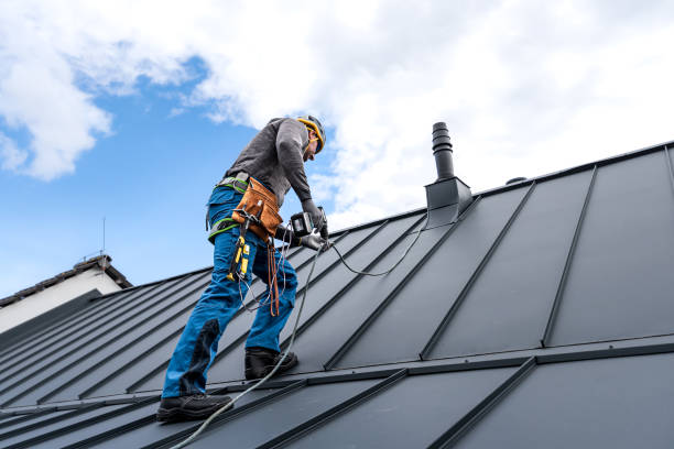 Best Roof Maintenance and Cleaning  in Glen Ellyn, IL